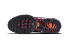 Nike Air Max Plus Sisterhood - DO6115-500