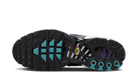 Nike Air Max Plus Reverse Grape