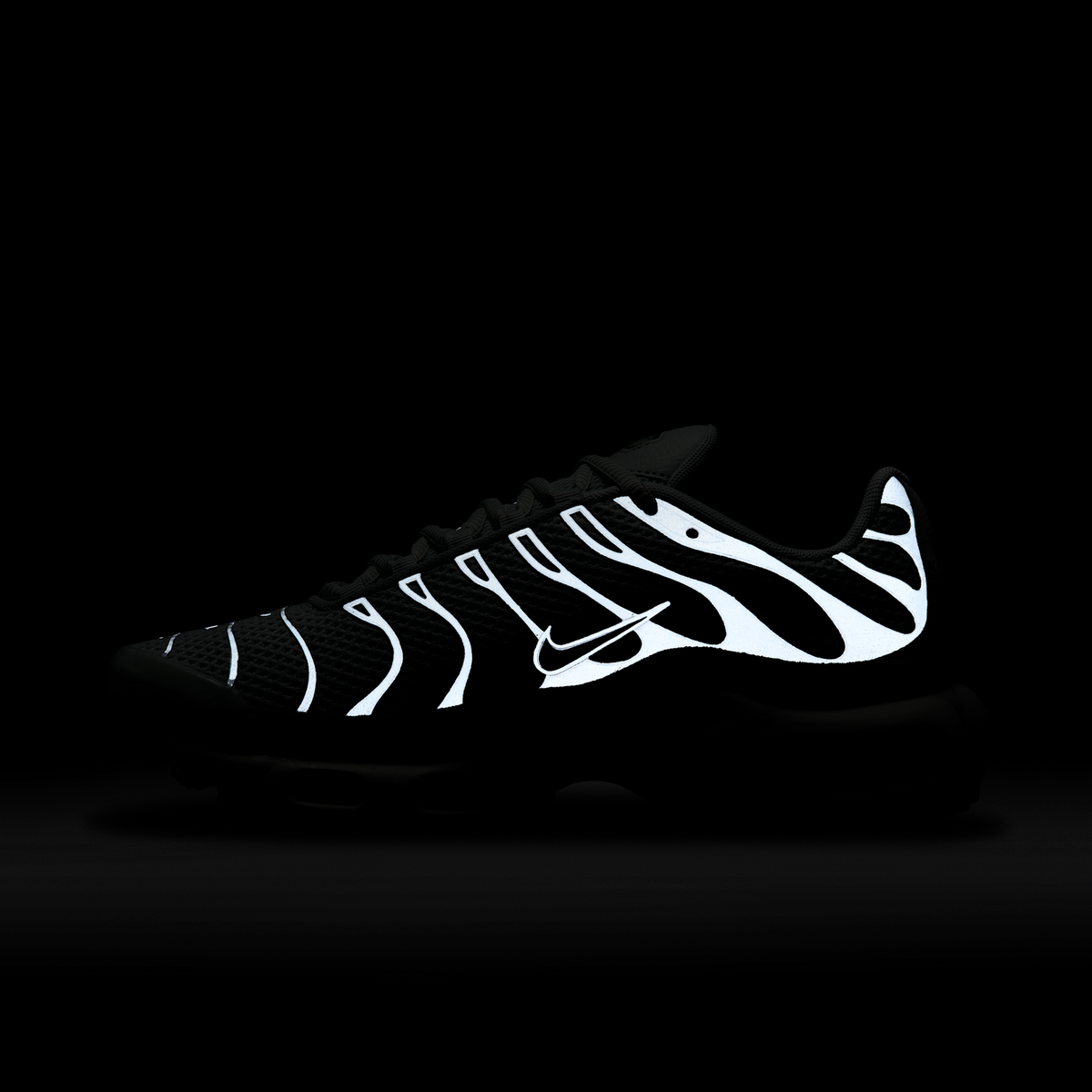 Nike Air Max Plus Light Silver (Women's) | FV8480-002