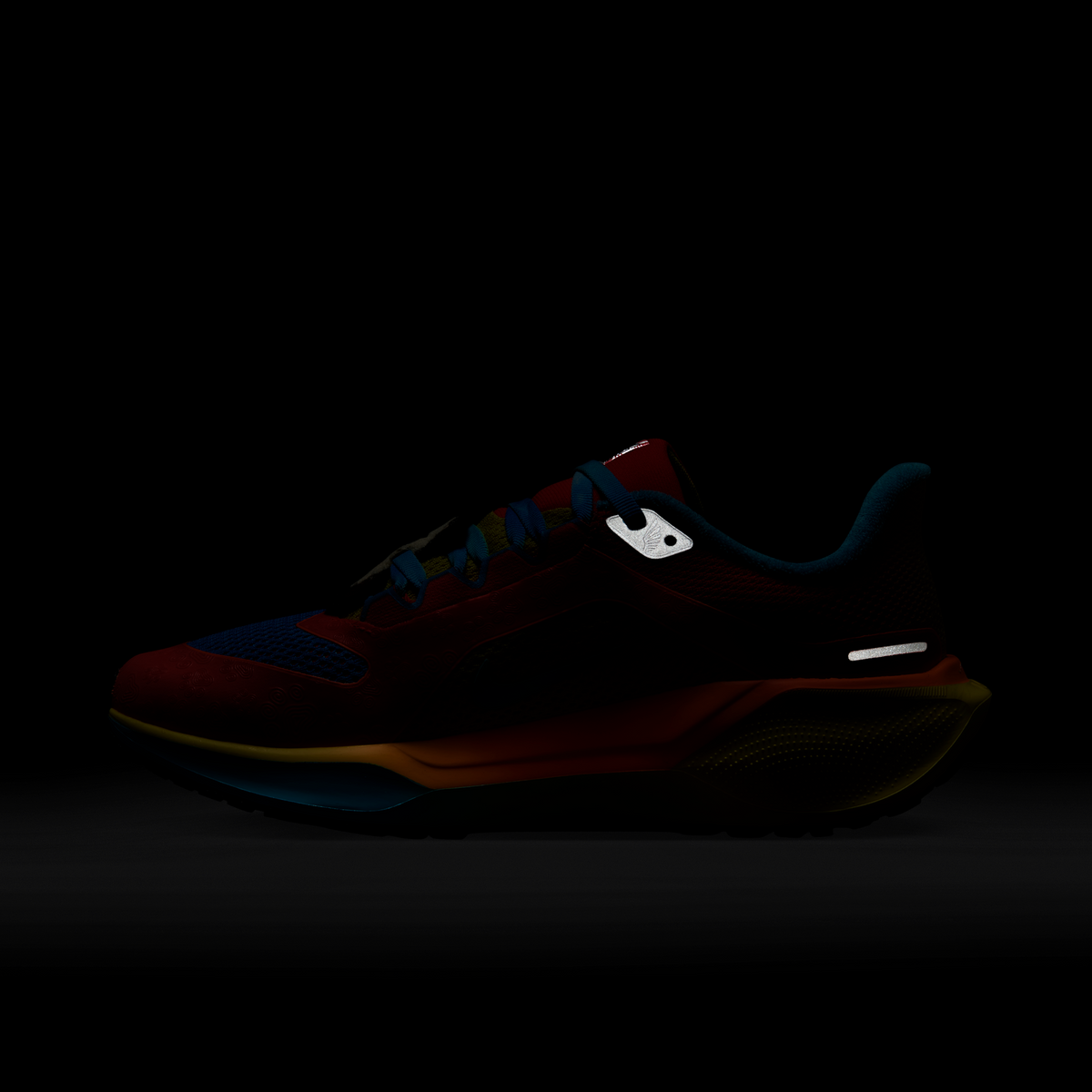 Nike Air Zoom Pegasus 41 Doernbecher Tima