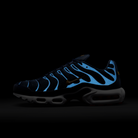 Nike Air Max Plus FFF | FB3350-400