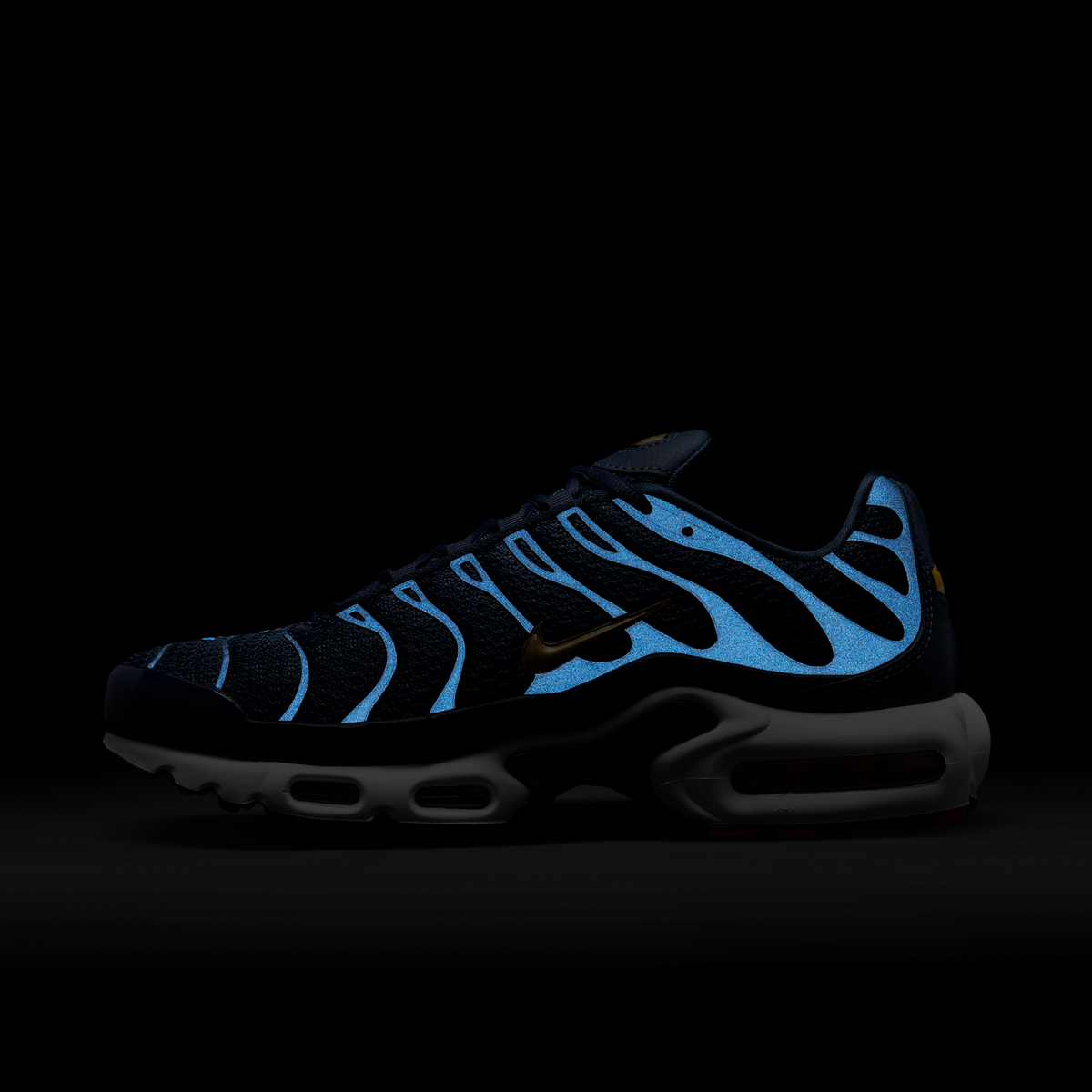 Nike Air Max Plus FFF | FB3350-400