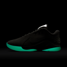 Nike LeBron 22 Dunkman (Translucent Outsole)
