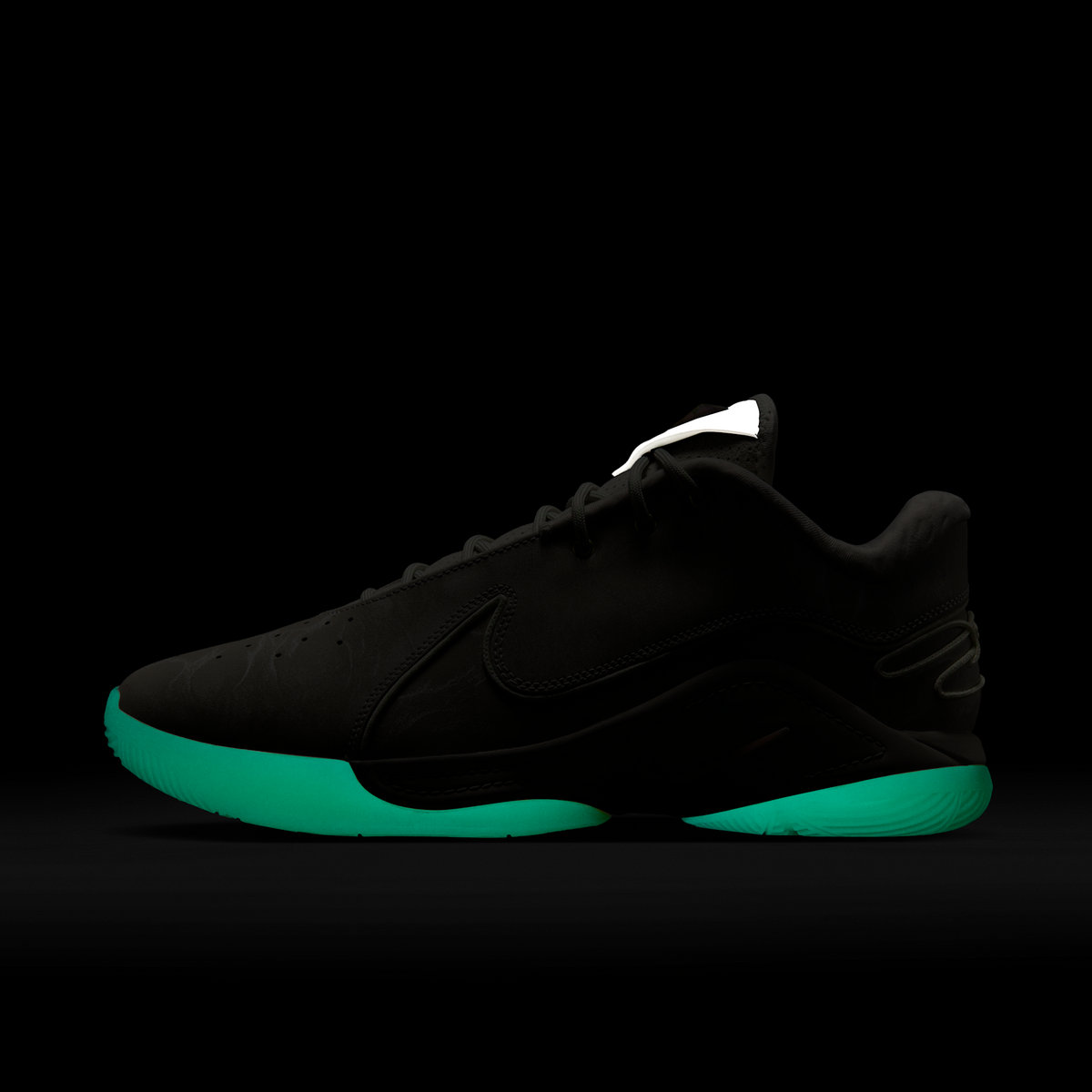 Nike LeBron 22 Dunkman (Translucent Outsole)