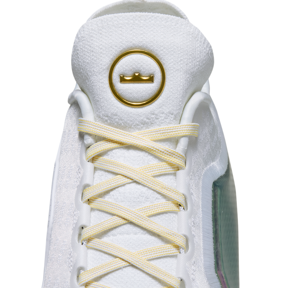 Nike LeBron 23 Elite For The Record