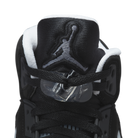 Jordan 5 Retro Moonlight (2021)