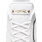 Nike LeBron 23 From This Point Forward