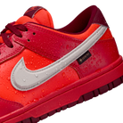 Nike Dunk Low Gore-Tex Crimson | HQ2053-800
