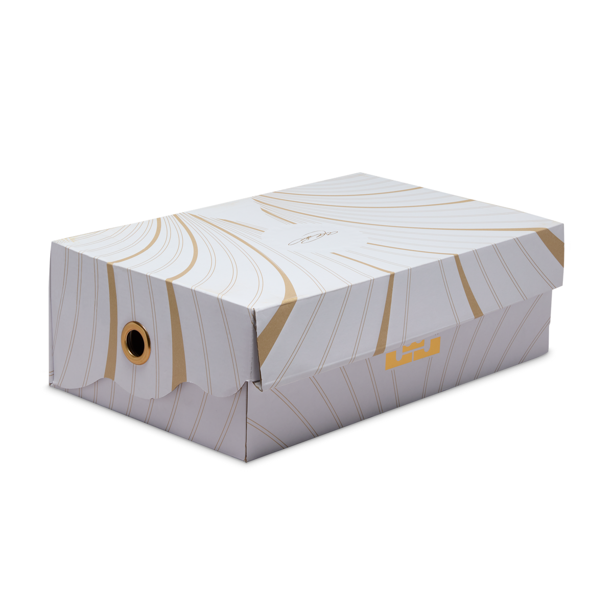 Nike LeBron 21 Akoya
