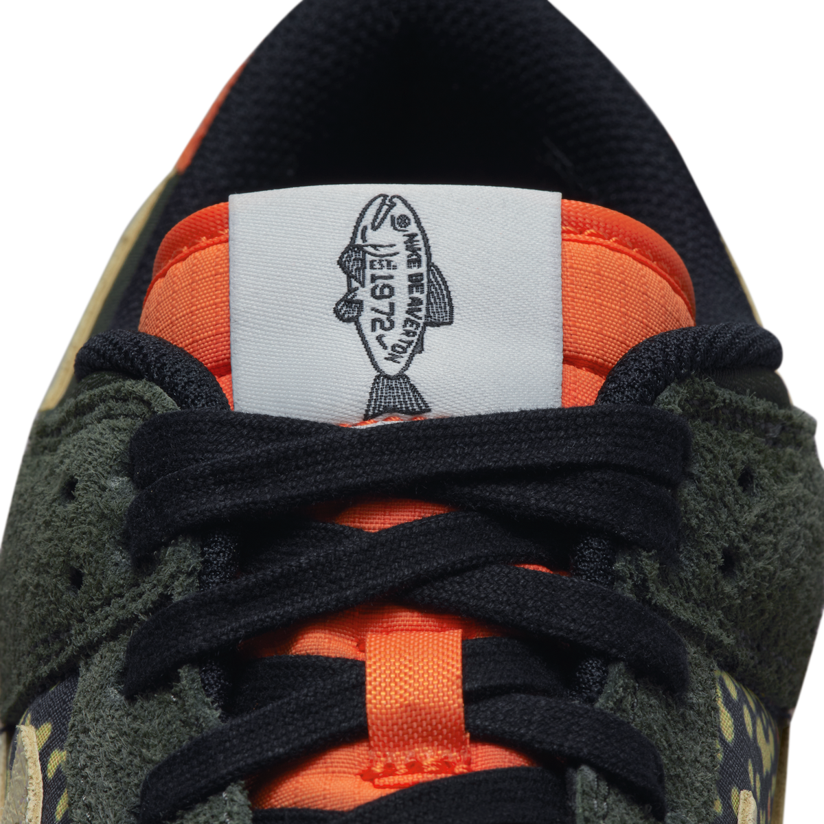 Nike Dunk Low SE Gone Fishing Rainbow Trout | FN7523-300