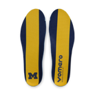 Nike Vomero 18 Michigan