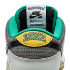 Nike SB Dunk Low CSEF
