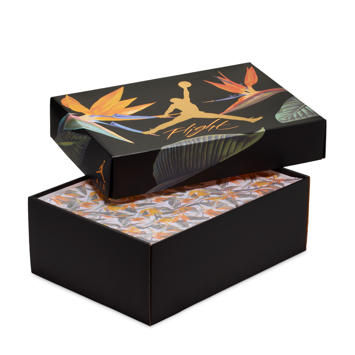 Jordan 4 Retro Birds of Paradise (Women's)
