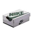 Jordan 1 Retro High OG Fir Pro Green (TD)