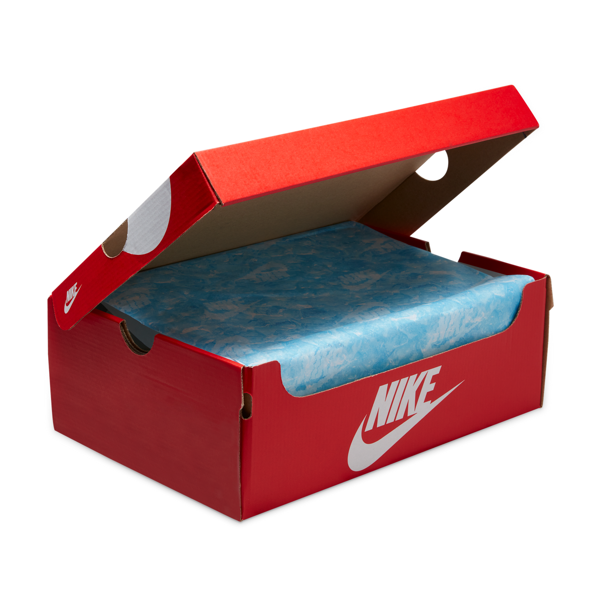 Nike Dunk Low SE Gone Fishing Rainbow Trout | FN7523-300
