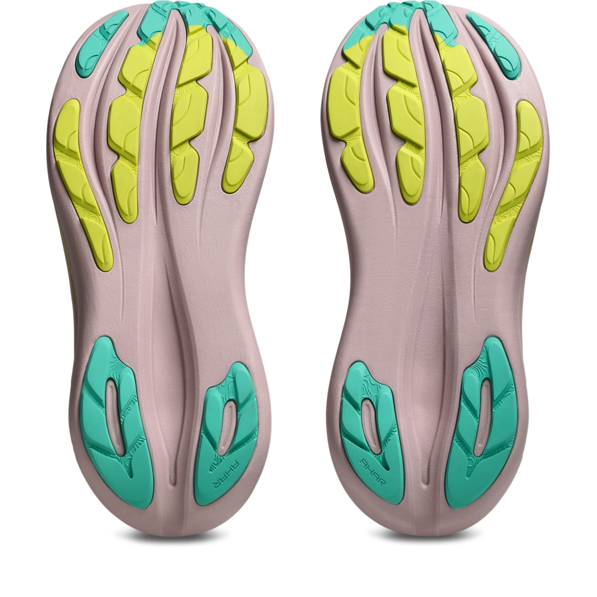 ASICS Gel-Nimbus 28 TR Light Dust Clay Canyon (Women's)