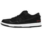 Nike SB Dunk Low Wasted Youth (Special Box)