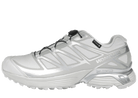 Salomon XT-Pathway GTX Lunar Rock Alloy
