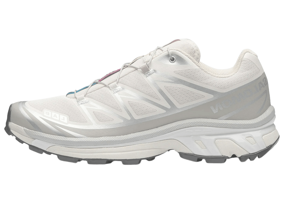 Salomon XT-6 Rainy Day Paloma | L47988000