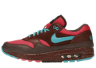 Nike Air Max 1 AMS Parra Amsterdam