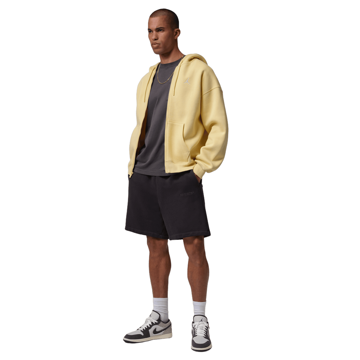 Jordan 1 Low SE Sail Deep Pewter Elephent Print