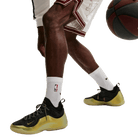 Nike LeBron 23 Elite Hurt Feelings Write History