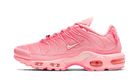 Nike Air Max Plus Atlanta - DH0155-600