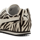 Puma Arizona Zebra (Women's) | 404398-01