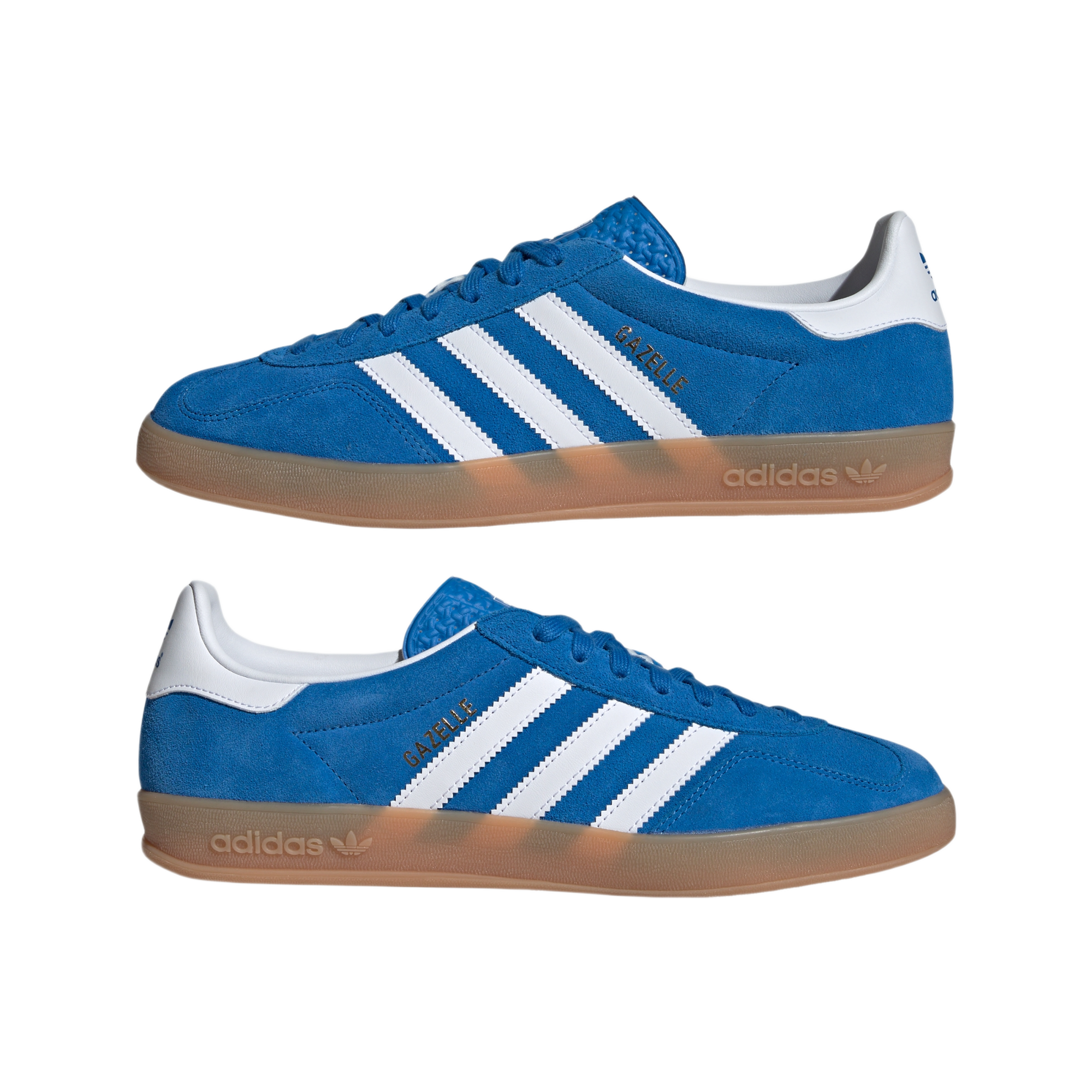 adidas Gazelle Indoor Blue Bird Cloud White