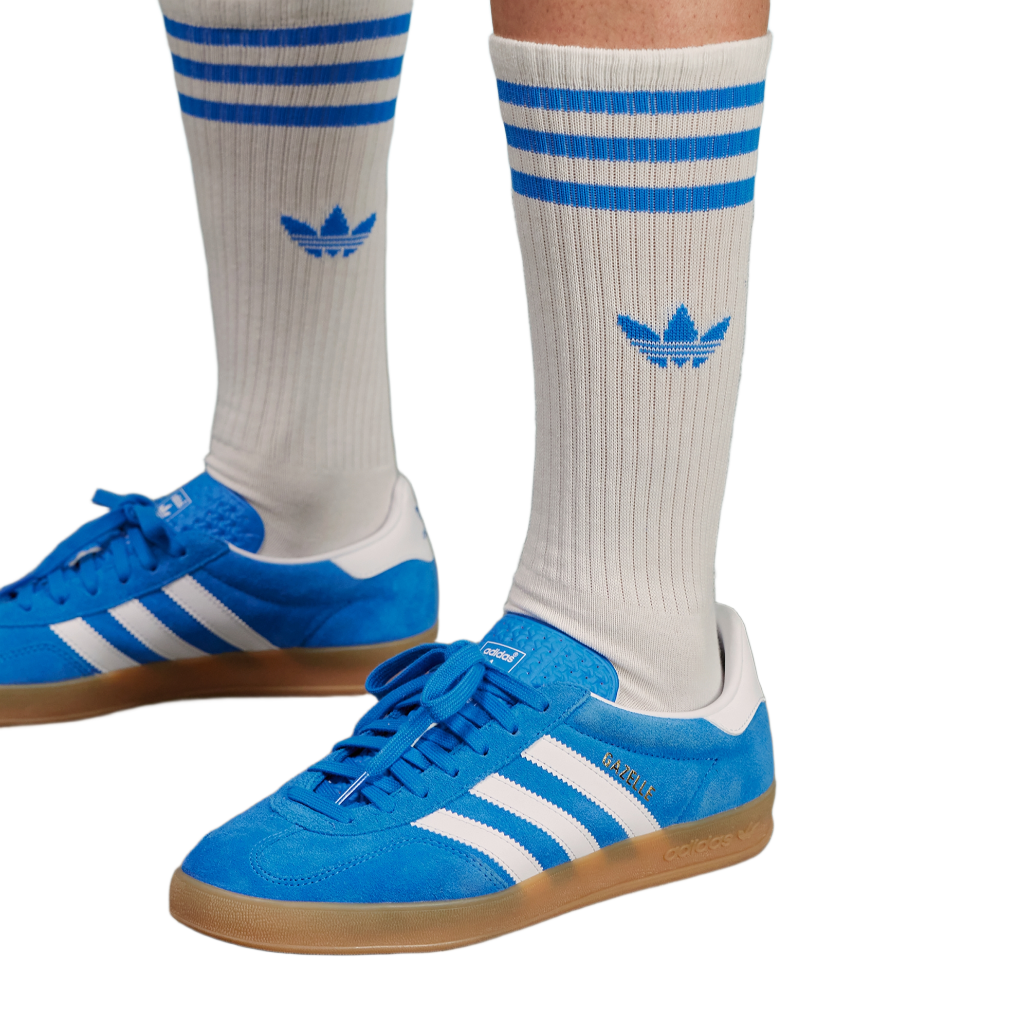 adidas Gazelle Indoor Blue Bird Cloud White