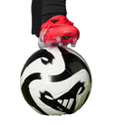 adidas Predator Elite Foldover Tongue FG Pure Victory Pack