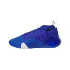 adidas Harden Vol. 7 Royal Blue