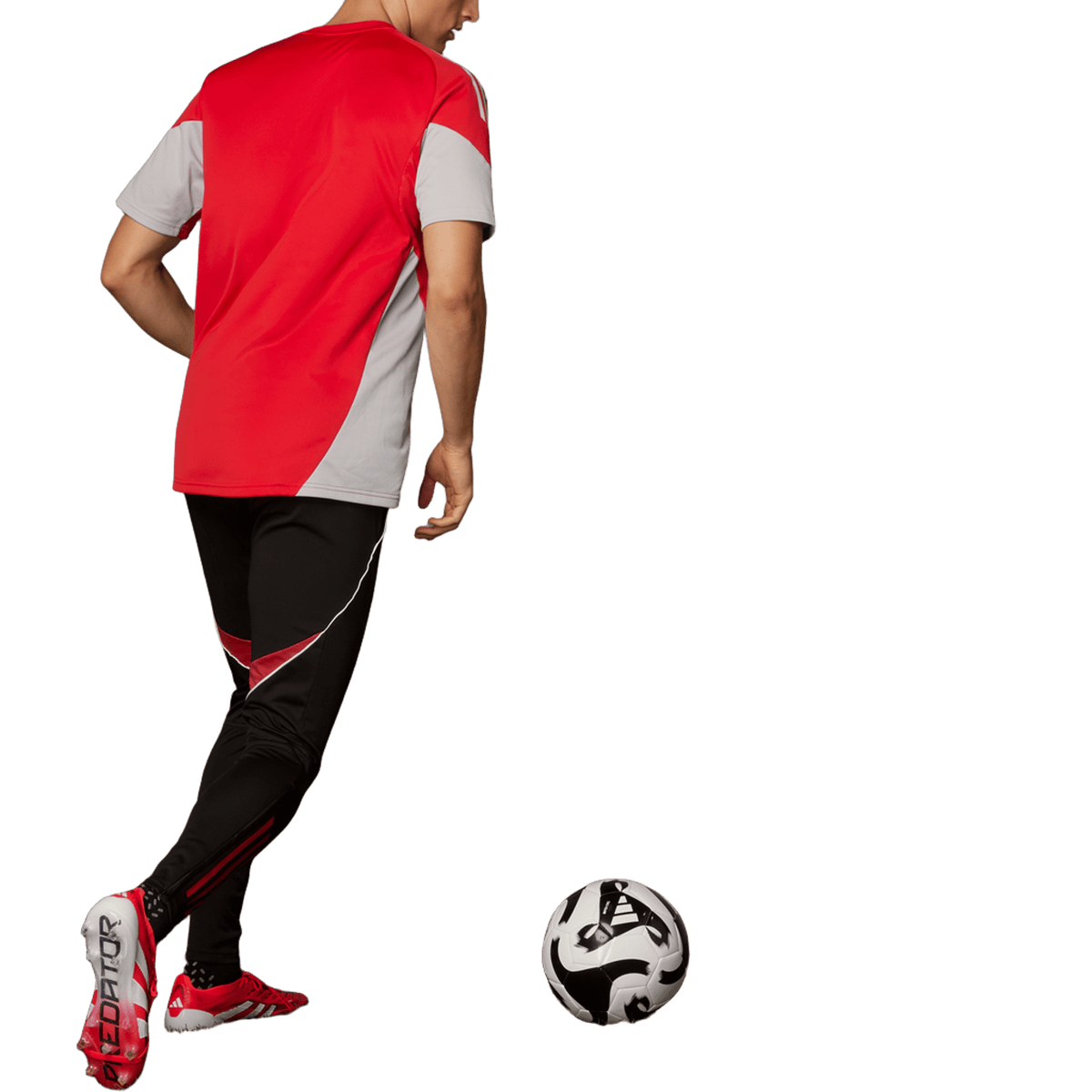 adidas Predator Elite Foldover Tongue FG Pure Victory Pack
