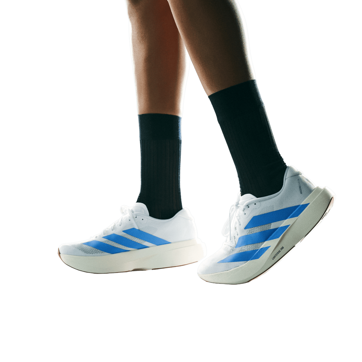 adidas Adizero Evo SL White Blue Fusion (Women's)