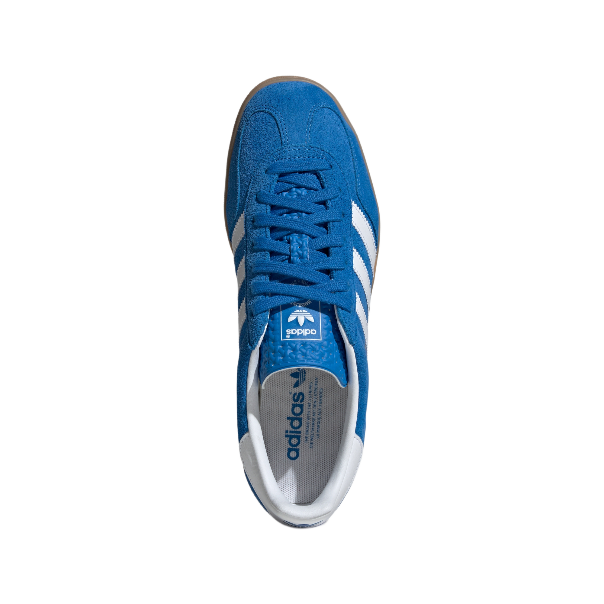 adidas Gazelle Indoor Blue Bird Cloud White