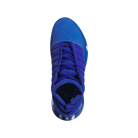 adidas Harden Vol. 7 Royal Blue