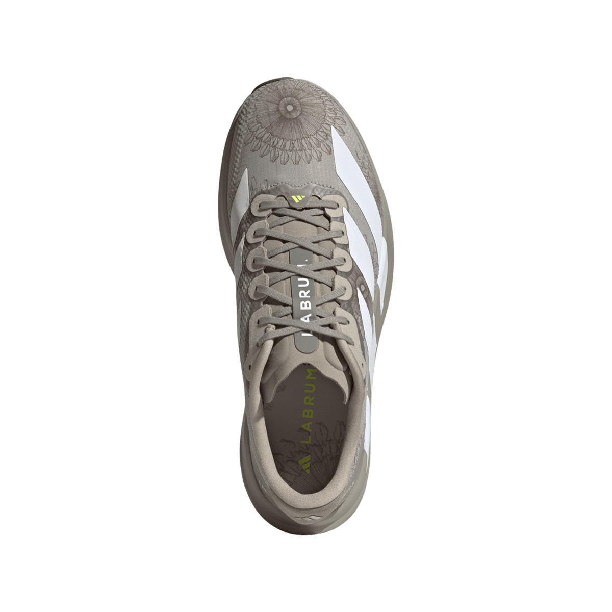 adidas Adizero Evo SL LABRUM Sesame