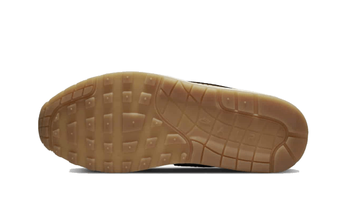 Nike Air Max 1 Wabi-Sabi