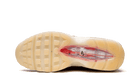 Nike Air Max 95 Anatomy of Air