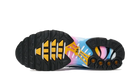 Nike Air Max Plus Summer Gradient