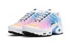 Nike Air Max Plus Summer Gradient