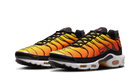 Nike Air Max Plus Sunset (2024)