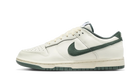 Nike Dunk Low Athletic Department Deep Jungle