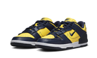 Nike Dunk Low Disrupt 2 Michigan