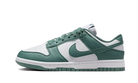 Nike Dunk Low Next Nature Bicoastal