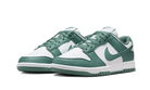 Nike Dunk Low Next Nature Bicoastal