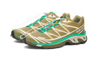Salomon XT-6 Dried Herb