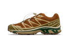 Salomon XT-6 Rubber Lizard