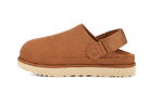UGG Goldenstar Clog Chestnut
